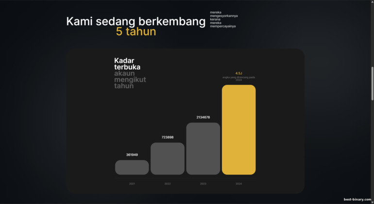 โบรกเกอร์ BinTrade การเติบโตของลูกค้า